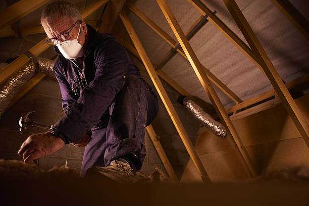 Best Insulation Maintenance and Repair in Mountain Home, AR